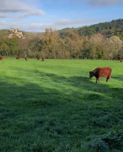 Le Cocon Beaujolais * Chatillon (Rhone-Alps)