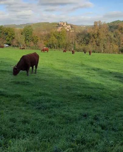 Le Cocon Beaujolais Vakantiehuis *