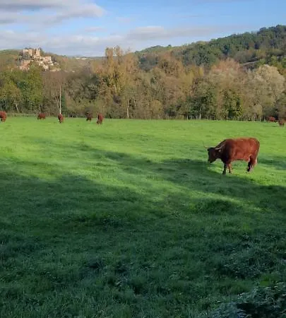 Le Cocon Beaujolais * Chatillon (Rhone-Alps)
