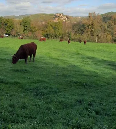 Le Cocon Beaujolais Feriehus *